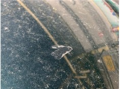 Recambio de capo para seat toledo (1m2) 1.6 referencia OEM IAM 1M0823033D  