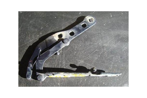 Recambio de bisagra capo derecha para bmw serie 3 berlina (e46)(1998) 2.0 320d [2,0 ltr. - 100 kw 16v diesel cat] referencia OEM