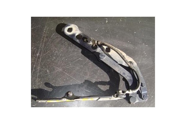 Recambio de bisagra capo derecha para bmw serie 3 berlina (e46)(1998) 2.0 320d [2,0 ltr. - 100 kw 16v diesel cat] referencia OEM