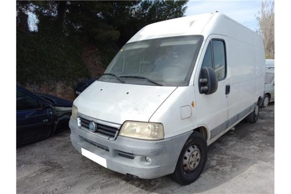 fiat ducato furgón (244) del año 