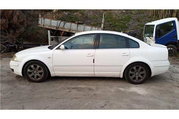 volkswagen passat berlina (3b3) del año 2003