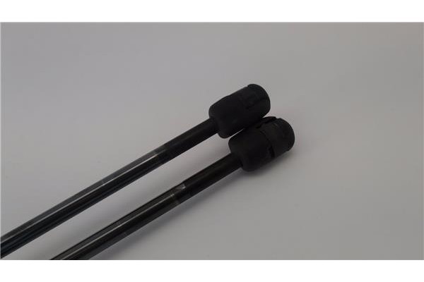 Recambio de amortiguador porton para ford fiesta v (jh_, jd_) 1.6 tdci referencia OEM IAM 1224731  