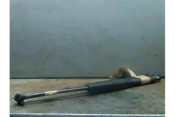 Recambio de amortiguador porton para daewoo lanos (1997) 1.3i referencia OEM IAM   