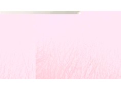 Recambio de airbag salpicadero para rover rover 25 (rf) referencia OEM IAM 102360 10006602401 