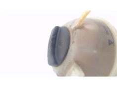 Recambio de botella expansion para seat toledo (1l) 1.8 base referencia OEM IAM 1H0121407A  