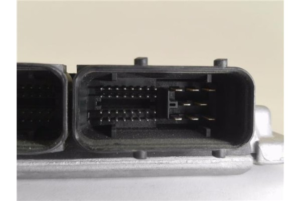 Recambio de centralita para volkswagen passat berlina (3b2) 1.9 tdi referencia OEM IAM 038906019BJ 0281010176  Recambio de centralita para volkswagen passat berlina (3b2) 1.9 tdi referencia OEM IAM 038906019BJ 0281010176