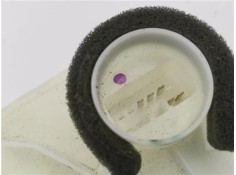 Recambio de cierre electromagnetico delantero izquierdo para mitsubishi space star (a00) 1.2 motion referencia OEM IAM 5715A907 