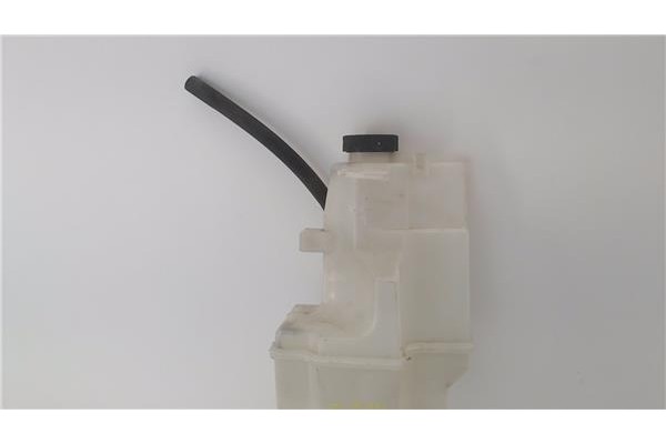 Recambio de botella expansion para nissan micra iv (k13k/kk) 1.2 acenta referencia OEM IAM 217411HC1A  