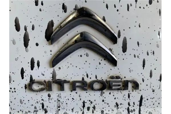 Recambio de puerta trasero izquierda carga cerrada para citroen jumpy 2.0 hdi 125 fap 27 l1h1 fugón referencia OEM IAM 8702C5  