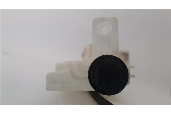 Recambio de botella expansion para nissan micra iv (k13k/kk) 1.2 acenta referencia OEM IAM 217411HC1A  