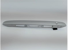 MOLDURA PORTON TRASERO 010050811 