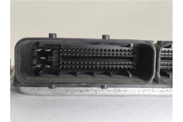 Recambio de centralita para volkswagen golf iv berlina (1j1) 1.9 tdi referencia OEM IAM 038906012FB 0281010651  Recambio de centralita para volkswagen golf iv berlina (1j1) 1.9 tdi referencia OEM IAM 038906012FB 0281010651