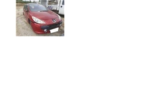 peugeot 307 break/ sw (s2) del año 2006