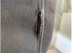 Recambio de asiento delantero izquierdo para citroen jumpy furgón 2.0 club m referencia OEM IAM 1616755380 1616755680 