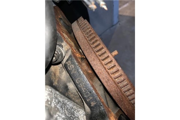 Recambio de motor completo para skoda fabia (6y2/6y3) 1.9 attractive referencia OEM IAM ASY  