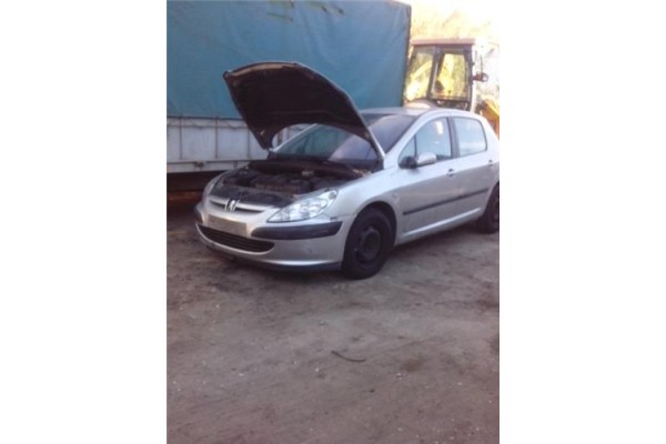 PEUGEOT 307 (S1)