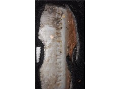 ford ka (ccq) del año 2001