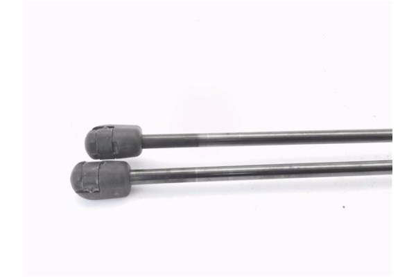 Recambio de amortiguador porton para fiat i doblo (119) 1.3 jtd referencia OEM IAM 904510001R  