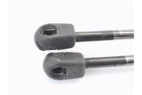 Recambio de amortiguador porton para fiat i doblo (119) 1.3 jtd referencia OEM IAM 904510001R  