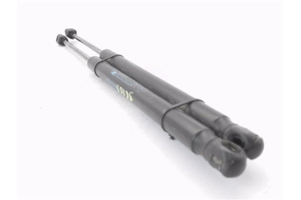 Recambio de amortiguador porton para fiat i doblo (119) 1.3 jtd referencia OEM IAM 904510001R  