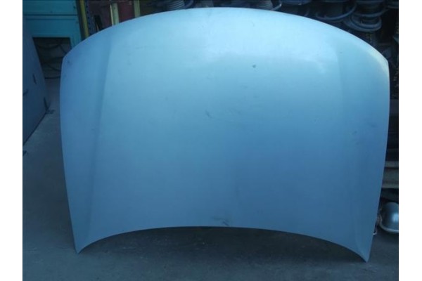 Recambio de capo para volkswagen passat berlina (3b3)(2000) 1.9 tdi referencia OEM IAM   