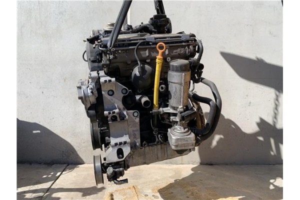 Recambio de motor completo para seat leon (1m1) 1.9 last edition referencia OEM IAM AXR  