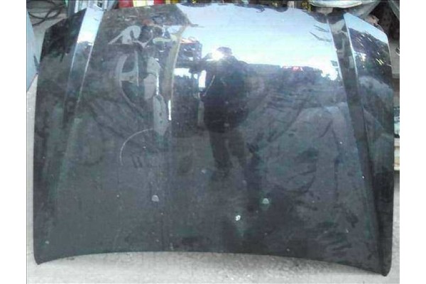 Recambio de capo para fiat stilo (192)(2001) 1.9 jtd (192_xe1a) referencia OEM IAM   