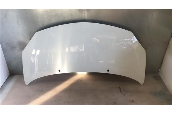 Recambio de capo para renault twingo ii 1.2 authentique referencia OEM IAM 651003355R RN3073100 7751477649 , RENAULT