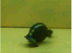 BOCINA 