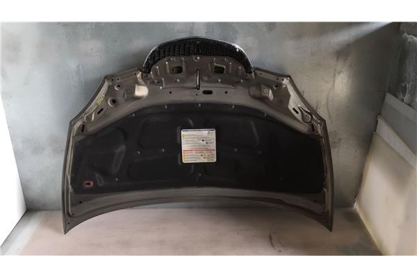 Recambio de capo para lancia ypsilon (101) 1.2 referencia OEM IAM 51701685 L00237 