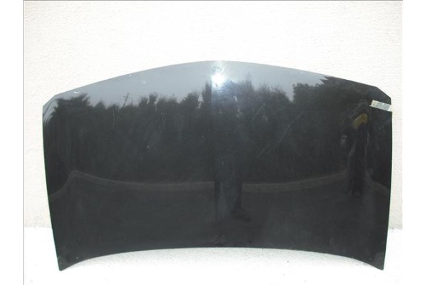 Recambio de capo para renault megane ii (bm0/1_, cm0/1_) referencia OEM IAM   