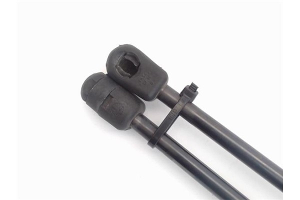 Recambio de amortiguador porton para suzuki swift iii (sg) 1.3 referencia OEM IAM 3439TZ0410N  