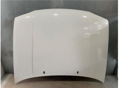 Recambio de capo para volkswagen golf iii (1h1) 1.9 tdi referencia OEM IAM 1H6823031A  