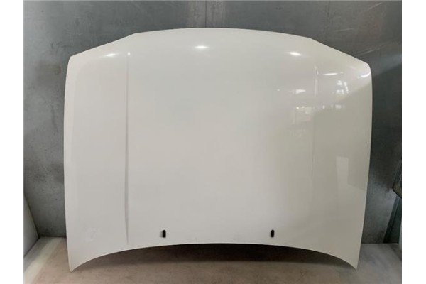 Recambio de capo para volkswagen golf iii (1h1) 1.9 tdi referencia OEM IAM 1H6823031A  