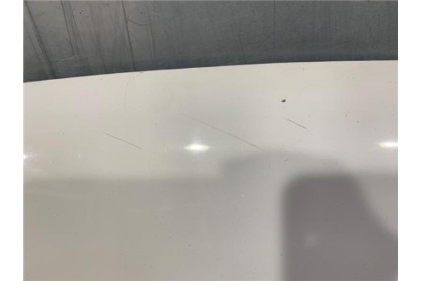 Recambio de capo para volkswagen golf iii (1h1) 1.9 tdi referencia OEM IAM 1H6823031A  