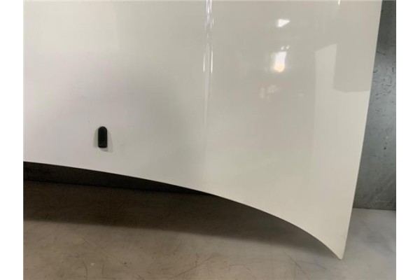 Recambio de capo para volkswagen golf iii (1h1) 1.9 tdi referencia OEM IAM 1H6823031A  