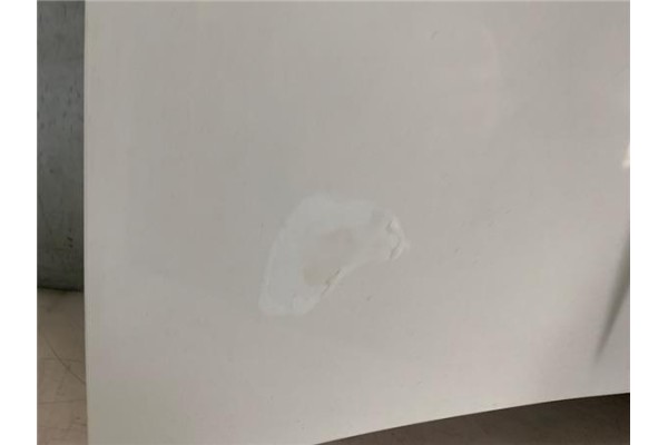 Recambio de capo para volkswagen golf iii (1h1) 1.9 tdi referencia OEM IAM 1H6823031A  