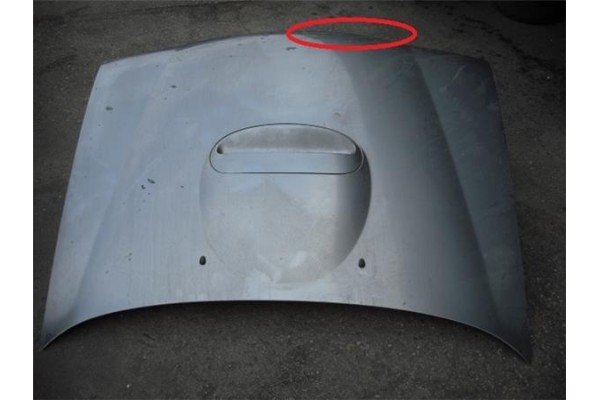 Recambio de capo para nissan terrano ii (r20) 2.7 tdi 4wd referencia OEM IAM 651007F030  