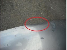 Recambio de capo para nissan terrano ii (r20) 2.7 tdi 4wd referencia OEM IAM 651007F030  