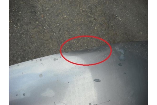 Recambio de capo para nissan terrano ii (r20) 2.7 tdi 4wd referencia OEM IAM 651007F030  