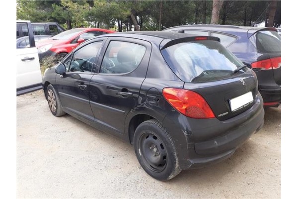 peugeot 207 del año 