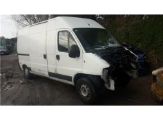 fiat ducato furgón (244) del año 2006
