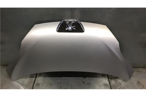 Recambio de capo para peugeot 107 1.0 básico referencia OEM IAM 7901L7 7810N6 