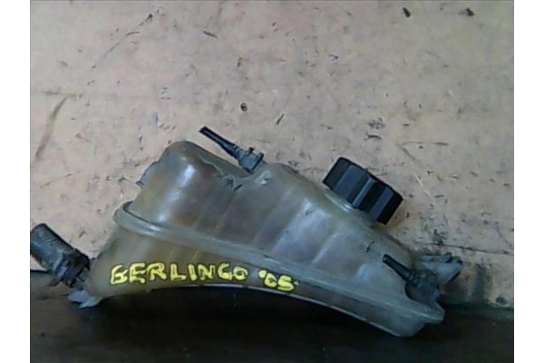Recambio de botella expansion para citroen berlingo (1996) 1.9 d (mfdjy) referencia OEM IAM   