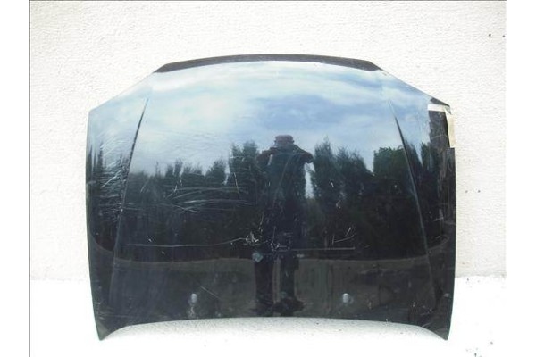 Recambio de capo para ford fiesta iv (ja_, jb_) 1.3 i referencia OEM IAM   