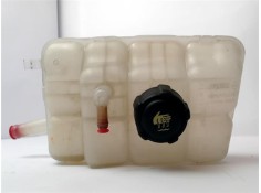 BOTELLA EXPANSION 217104048R 