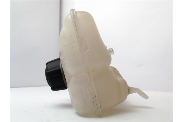 Recambio de botella expansion para renault grand scenic iv 1.2 tce referencia OEM IAM 217104048R  