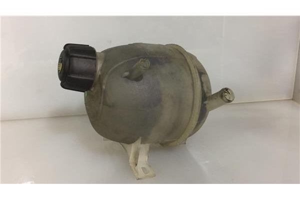Recambio de botella expansion para renault scenic i (ja..)(1999) 2.0 16v (ja1b, ja1d) referencia OEM IAM   